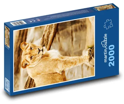 Obrázok produktu pre Puzzle 2000 Levice na strome - martinpuzzle