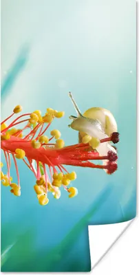 Produktbild von MuchoWow® Poster Schnecke - Pflanze - Baum 80x160 cm - Kinderzimmer