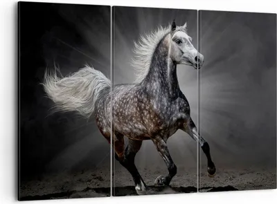 Produktbild von Bild auf Leinwand - Leinwandbild - Pferd Tier Natur - 105x70cm - Wand Bild - Wanddeko - Wandbilder - Leinwanddruck - Bilder - Kunstdruck - Wanddekoration - Leinwand bilder - Wandkunst - CE105x70-3593