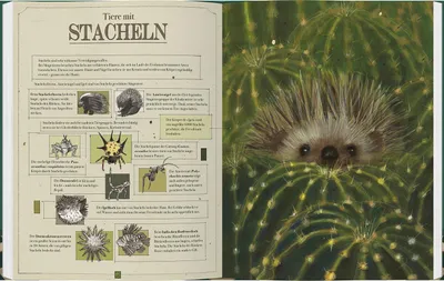 Obrázek produktu pro Tierisch schön