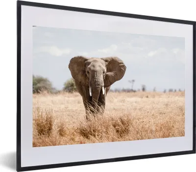 Produktbild von MuchoWow® MuchoWow® Gerahmtes Poster Elefant - Natur - Tiere - Porträt 60x40 cm - Poster mit zchwarzem Bilderrahmen - Schlafzimmer - Plakat in Rahmen - Drucken