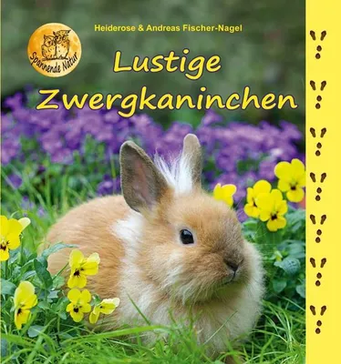 Immagine prodotto di Lustige Zwergkaninchen