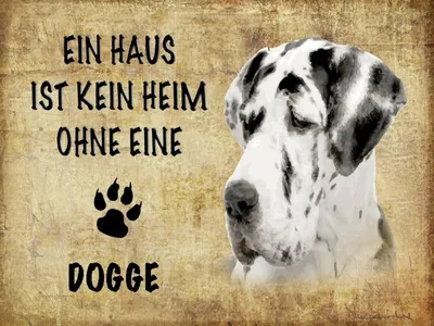 Produktbild von vianmo Holzschild 30x40 cm Dogge Hund