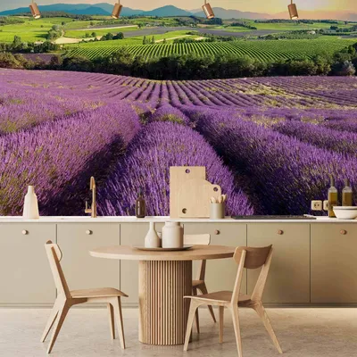 Produktbild von Vlies Fototapete - Lavender Field 150x105 cm Landschaften c-C-0427-a-a