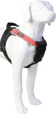 Produktbild von Tre Ponti Geschirr Potenza mit refl. Rand hellblau 80 - 100 cm bis ca. 30 - 40 kg