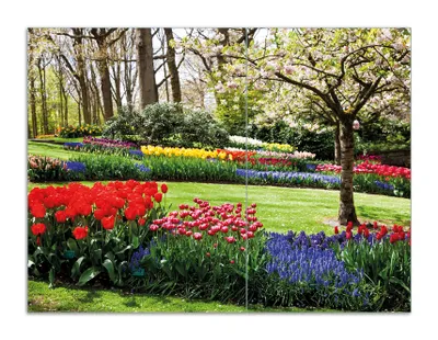 Produktbild von Wallario Herdabdeckplatte aus Glas, Größe 70 x 52 cm 2-teilig, Motiv Bunte Blumen und Kirsch-Baum im Park blühen im Frühling
