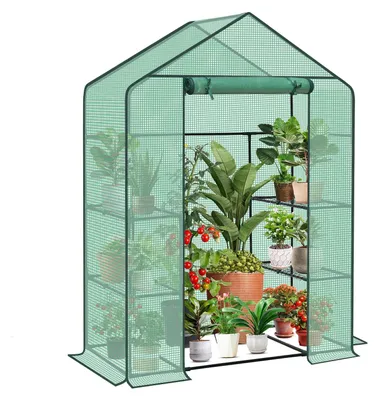 Immagine prodotto di Serra Sekey, 200x145x75 cm, serra in plastica stabile, serra da balcone con 4 ripiani per una crescita ottimale delle piante, verde, XL