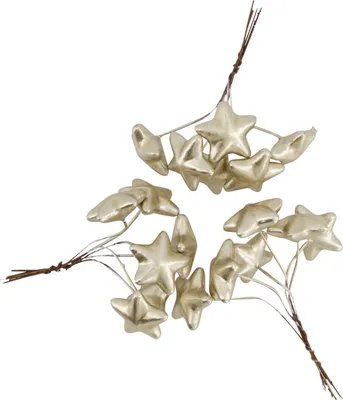 Produktbild von Dijk Sternstangen 3 x 3 x 1 cm champagner
