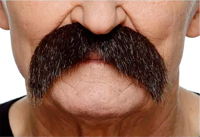 Obrázek produktu pro Mom Moustache Brown Brown One Size
