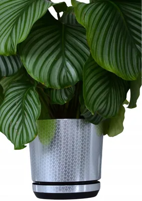 Produktbild von Kerd Dekor Topf 12 cm Silber Art Deco Glanz