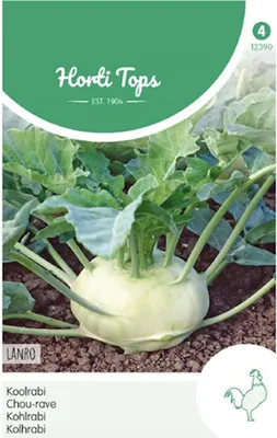 Produktbild von Kohlrabi Lanro | Kohlrabisamen von Hortitops