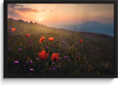 Produktbild von MuchoWow® MuchoWow® Gerahmtes Poster Blumenfeld - Gras - Blumen - Pflanzen - Sonnenuntergang - Orange 60x40 cm - Poster mit zchwarzem Bilderrahmen - Printing - Wanddeko Schlafzimmer