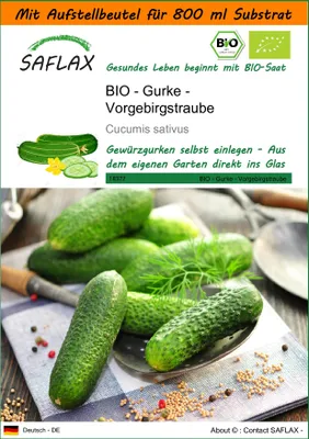 Produktbild von SAFLAX Garden in the bag - BIO - Gurke - Vorgebirgstraube - Cucumis sativus - 15 Samen - Mit Anzuchtsubstrat im praktischen, selbst aufstellenden Beutel