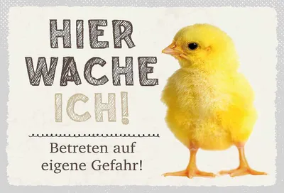 Produktbild von vianmo Holzschild 20x30 cm Küken hier wache ich eigene Gefahr
