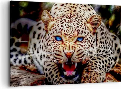 Produktbild von Bild auf Leinwand - Leinwandbild - Panther Tier - 100x70cm - Wand Bild - Wanddeko - Wandbilder - Leinwanddruck - Bilder - Kunstdruck - Wanddekoration - Leinwand bilder - Wandkunst - AA100x70-3506