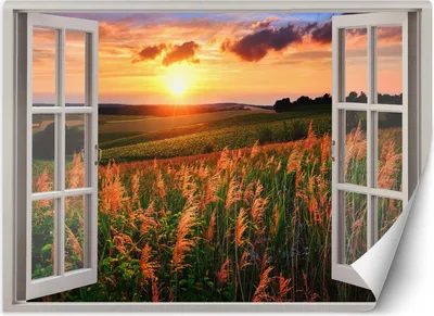 Produktbild von Vlies fototapete Fenster Blick auf Sonnenuntergang Wiese 210x150 cm Feeby Bunt inkl. Kleber einfache Montage
