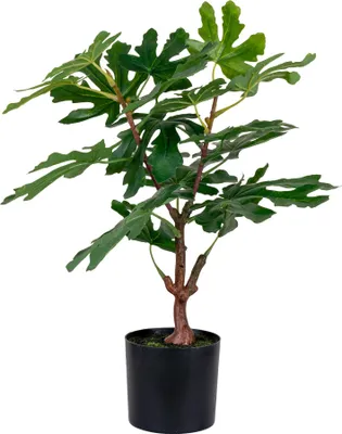 Zdjęcie produktu dla Figentræ Sztuczna roślina H60 cm zielona.