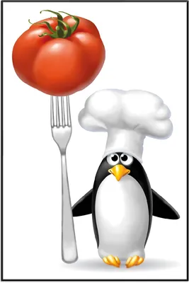Produktbild von Wallario Wandbild Pinguin Koch, Größe: 61 x 91,50 cm, Poster mit schwarzem Aluminiumrahmen