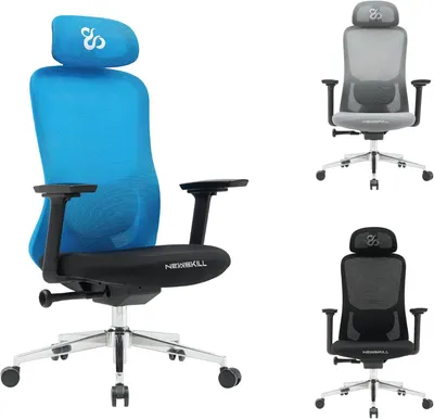 Obrázek produktu pro NEWSKILL, ergonomická herní židle, černá, modrá