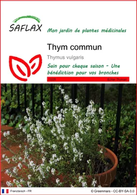 Image de SAFLAX  - Thym commun - 200 graines - Thymus