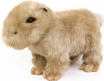 A stuffed toy capybara is shown from the side against a white background.