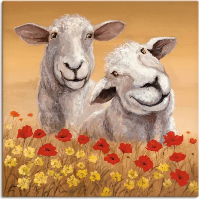 Produktbild von ARTland Leinwandbild Schafe Größe: 100x100 cm