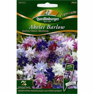 Immagine prodotto di Quedlinburger Columbine Barlow Choice Mix - Semi di fiori Premium