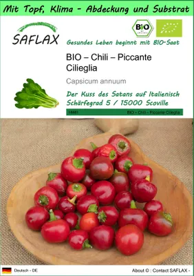 Produktbild von SAFLAX Garden to go - BIO – Chili – Piccante Cilieglia - Capsicum annuum - 10 Samen - Mit Topf, Klima - Deckel und Anzuchtsubstrat
