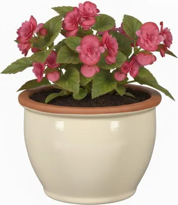 Image de Pot de fleurs en céramique modèle « Roma » 24 cm crème