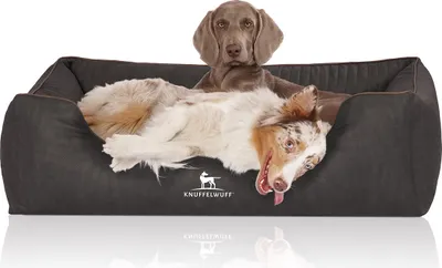 Produktbild von Knuffelwuff Orthopädisches Hundebett Tampa aus laser-gestepptem Kunstleder XL 105 x 75cm Schwarz