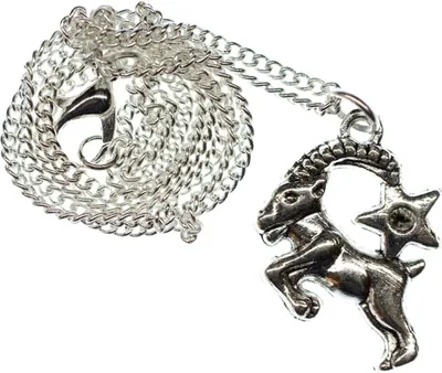 Produktbild von Steinbock Stern Kette Halskette Miniblings 45cm Sternzeichen Sternbild Horoskop