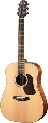 Produktbild von WALDEN D740EW Natura Dreadnought