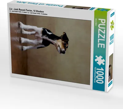 Produktbild von Calvendo Liu - Jack Russel-Terrier, 10 Wochen 1000 Teile Puzzle hoch 480x640mm, Behr Jana; 7351546