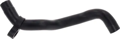 Image de VAICO Tuyau de radiateur Q+, qualité d'origine