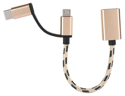 Image de Lot de 2 adaptateurs de câble de transfert OTG 2-en-1 de type C, connecteur de transfert électronique USB 3.0 (doré)