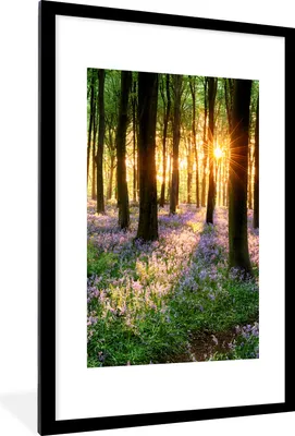 Produktbild von MuchoWow® Gerahmtes Poster Wald - Blumen - Lavendel - Sonne - Lila - Natur 60x90 cm - Poster mit Schwarzem Bilderrahmen Wandposter Rahmen Foto Bilder - Dekoration - Wandposter Wohnzimmer - Hochwertig