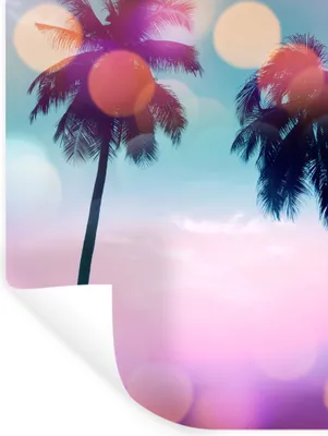 Produktbild von MuchoWow® Wandtattoo Wandsticker Wandaufkleber Sommer - Palmen - Himmel - Rosa 120x160 cm Selbstklebend und Repositionierbar - Wierderverwendbar - Selbstklebend
