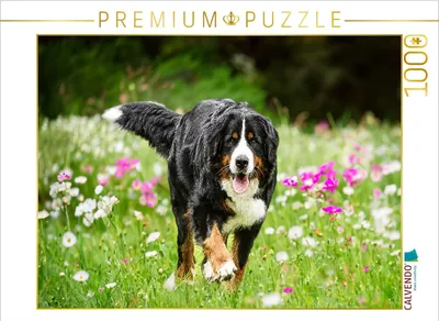 Produktbild von CALVENDO Puzzle Blütenzauber | 1000 Teile Lege-Größe 64x48cm Foto-Puzzle für glückliche Stunden