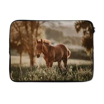 Produktbild von MuchoWow® Laptop Hülle 14 ZollPferd - Licht - Wiese Laptoptasche - Laptoptasche - Stoßsicher - Schutzhaube