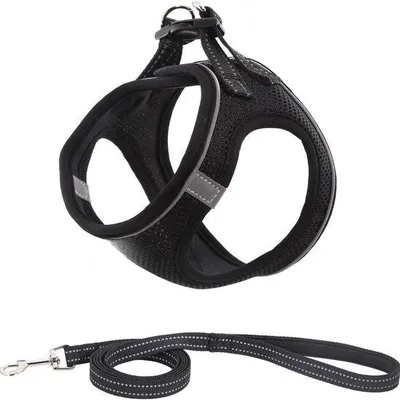 Produktbild von Famanu Hundegeschirr mit Leine - Anti-Zieh-Geschirr, reflektierend für kleine Hunde und Katzen (Schwarz - XXS)