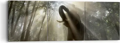 Produktbild von Bild auf Leinwand - Leinwandbild - Elefant Dschungel  - 90x30cm - Wand Bild - Wanddeko - Wandbilder - Leinwanddruck - Bilder - Kunstdruck - Wanddekoration - Leinwand bilder - Wandkunst - CA90x30-3835
