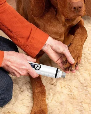 Immagine prodotto di Forbici elettriche per la toelettatura dei cani
