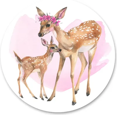 Image de Sticker cercle pour fille aquarelle REHLEIN animaux fleurs plantes décoration murale sticker chambre enfant 100 cm x 100 cm