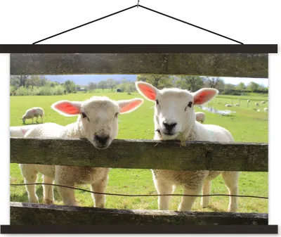 Produktbild von MuchoWow® Textilposter Schaf - Holz - Lamm 60x40 cm mit schwarzem Rahmen - Hölzernes