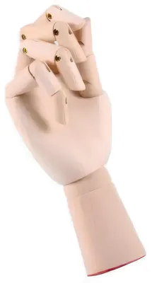 Image de Main de mannequin en bois RESTEQ 25 cm modèle féminin pour le dessin artistique.