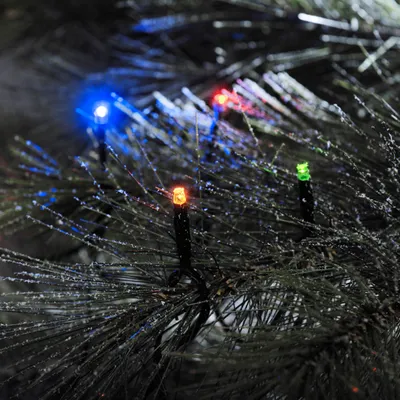 Close-up of colorful LED lights on a dark, pine-like branch, possibly a Christmas tree.