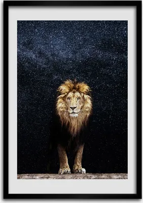 Produktbild von Bild - Bilderrahmen - Foto - 70 cm x 100 cm - MDF - Rahmen - Wandkunst - Ein Löwe auf dem Hintergrund der Sterne