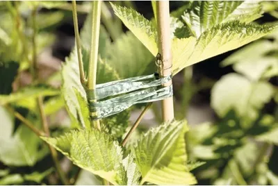 Obrázek produktu pro Upevňovací umělé lýko FloraSelf 400 m
