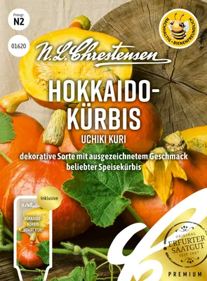 Artikelbild 1 von 'Hokkaido Kürbis Uchiki Kuri' aus der Kategorie Hokkaidokürbissamen