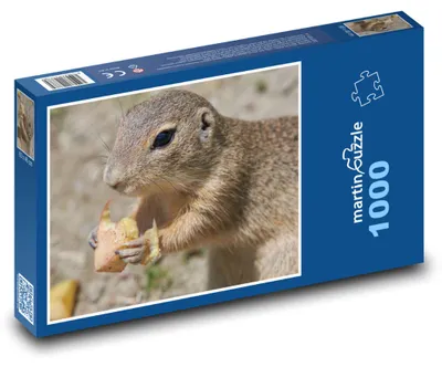 Obrázek produktu pro Puzzle 1000 Sysel na louce - martinpuzzle